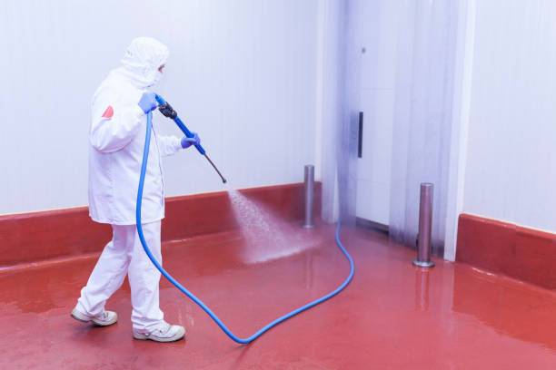 Reliable Sundance, WY Pressure Washing Services Solutions